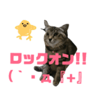 さくら三昧・基本編（個別スタンプ：23）