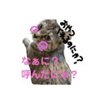 さくら三昧・基本編（個別スタンプ：28）