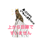 さくら三昧・基本編（個別スタンプ：29）