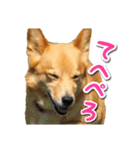 ぎんさんセリフスタンプ（個別スタンプ：6）