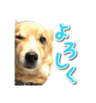 ぎんさんセリフスタンプ（個別スタンプ：9）