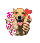 ぎんさんセリフスタンプ（個別スタンプ：14）