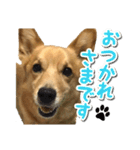 ぎんさんセリフスタンプ（個別スタンプ：21）