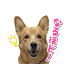 ぎんさんセリフスタンプ（個別スタンプ：32）