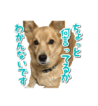 ぎんさんセリフスタンプ（個別スタンプ：33）