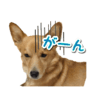 ぎんさんセリフスタンプ（個別スタンプ：37）