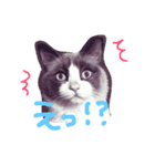 猫のハク様（個別スタンプ：6）