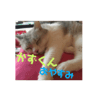 かずくんのスタンプ。（個別スタンプ：4）