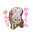 かずくんのスタンプ。（個別スタンプ：5）