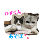 かずくんのスタンプ。（個別スタンプ：7）