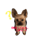 コロネのスタンプ（個別スタンプ：2）