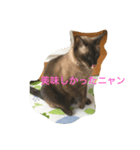 ねこ_だらけ_にゃん（個別スタンプ：12）