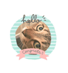ねこのモカスタンプ2（個別スタンプ：5）