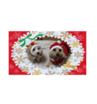 coconutの1日（個別スタンプ：5）