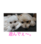 coconutの1日（個別スタンプ：8）