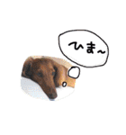 verゆなスタンプ（個別スタンプ：25）