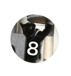 あおとあんずの白黒兄弟猫を数字に。（個別スタンプ：8）