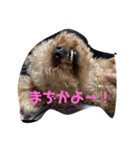 ラスティー（個別スタンプ：7）