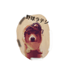 コーギー 犬 ラテ（個別スタンプ：6）