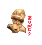 山田家の愛犬（個別スタンプ：1）