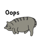 太った猫はかわいい (English)（個別スタンプ：16）