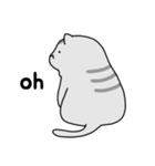 太った猫はかわいい (English)（個別スタンプ：21）