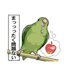 サザナミインコのムイ（個別スタンプ：6）