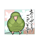 サザナミインコのムイ（個別スタンプ：25）