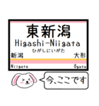 白新線 越後線 今この駅だよ！タレミー（個別スタンプ：2）