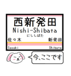 白新線 越後線 今この駅だよ！タレミー（個別スタンプ：9）