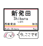 白新線 越後線 今この駅だよ！タレミー（個別スタンプ：10）