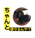 愛犬チェリーの日常（個別スタンプ：22）