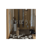 たのしいラムロイスタンプ！！（個別スタンプ：14）