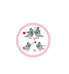 手旗信号を使う鳥「手鳩（てばと）ちゃん」（個別スタンプ：8）