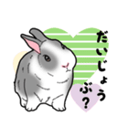 もふもふウサギ 5 #ハートフル（個別スタンプ：36）