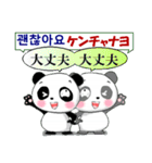 パンダ 毎日使える 韓国語と日本語 敬語（個別スタンプ：26）