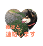 柴犬ごまのモフモフLife（個別スタンプ：34）