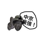 中京仲間最高！！（個別スタンプ：4）
