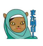ペルシャ猫姫（個別スタンプ：31）