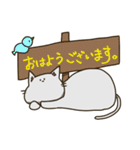 無表情看板ねこ（個別スタンプ：1）