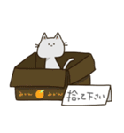 無表情看板ねこ（個別スタンプ：26）