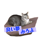 おおしま家のねこたち（個別スタンプ：18）