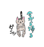 ごまりんご（個別スタンプ：4）