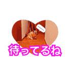 てんまるの日々（個別スタンプ：26）