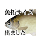 釣り・釣果報告スタンプ（淡水魚編1）（個別スタンプ：9）