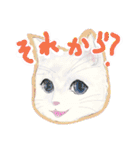 きくねこ（個別スタンプ：27）