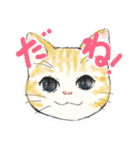 きくねこ（個別スタンプ：30）