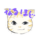 きくねこ（個別スタンプ：31）