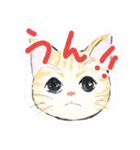 きくねこ（個別スタンプ：34）