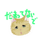 きくねこ（個別スタンプ：35）